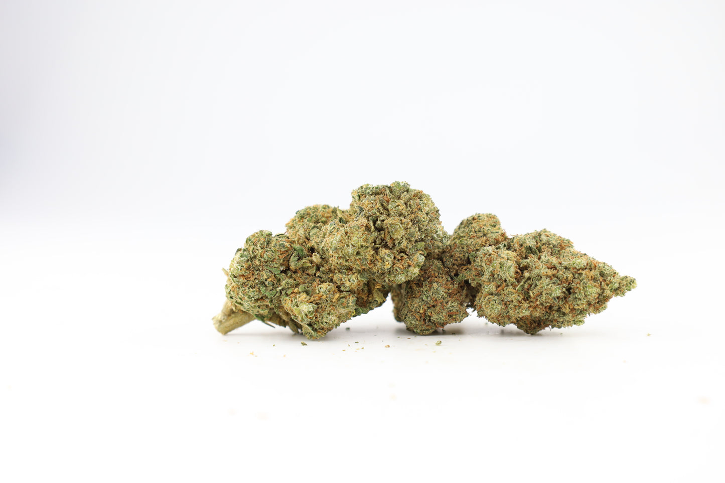 Beyaz Rus THC-A çiçekleri