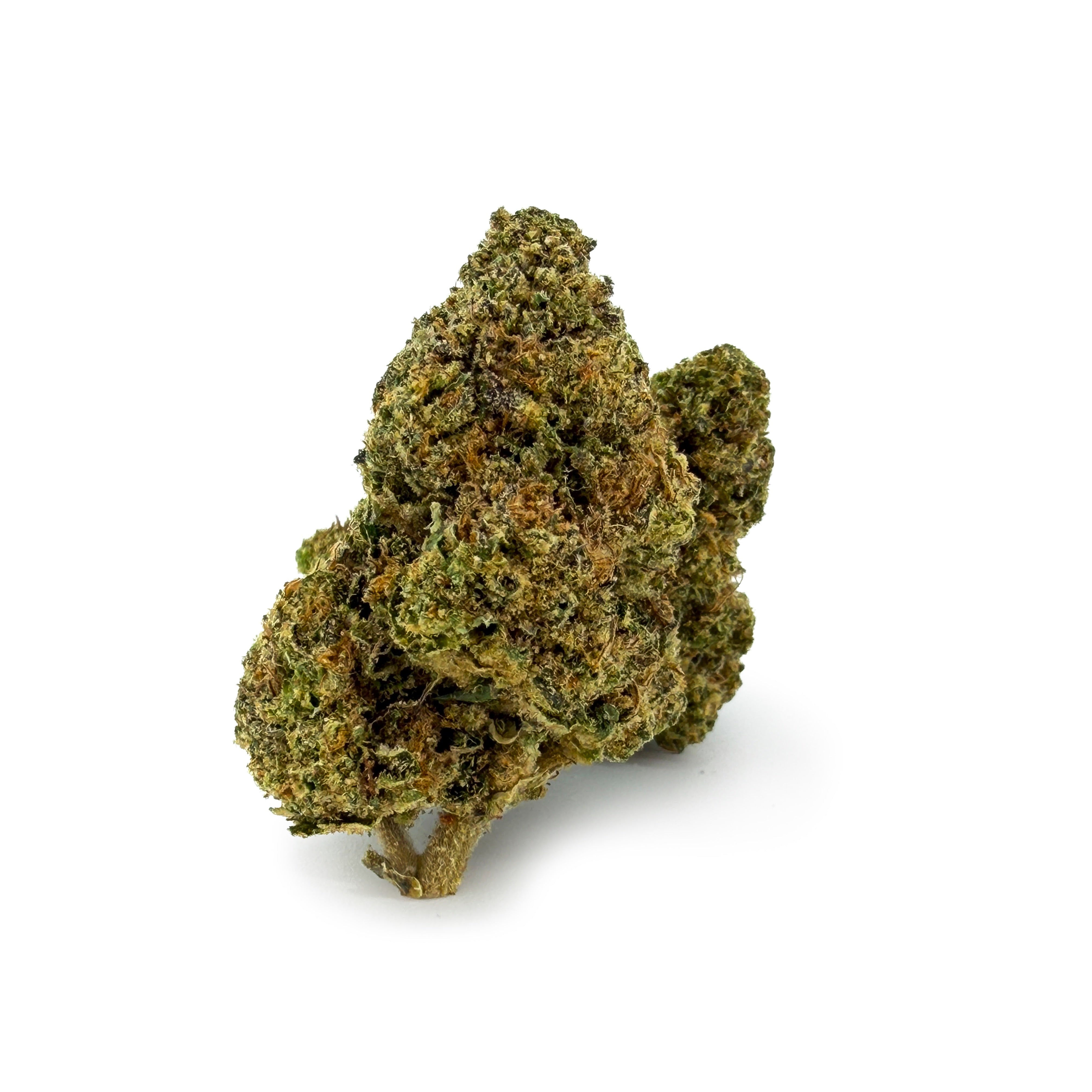 THC-A 31% Blüten Biscotti Mintz