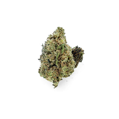 Detailaufnahme von Rollz California Love Indoor THCA getrockneten Blüten auf weißem Hintergrund