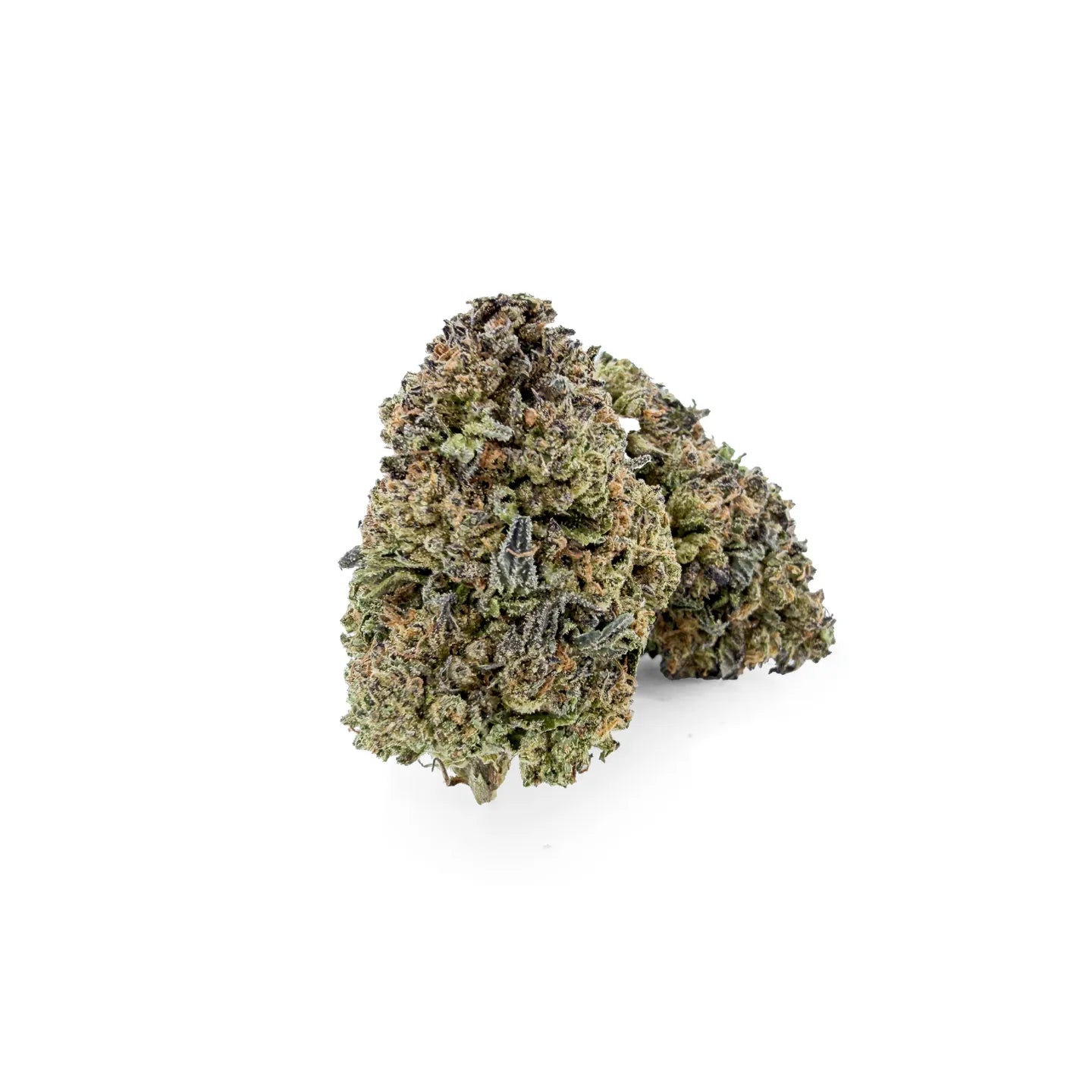 Nahaufnahme von Rollz Montgomery Benz Indoor-THCA-Blüten auf weißem Hintergrund