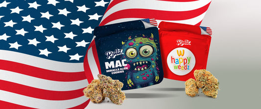 Rollz First Taste Bundle - 6x 1,5 g der beliebtesten Sorten