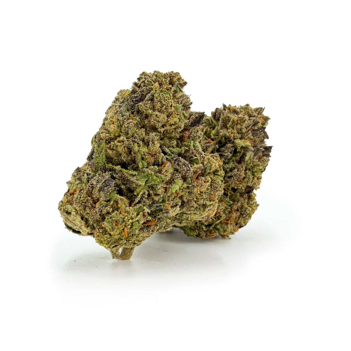 THC-A 34% Blüten White Truffle