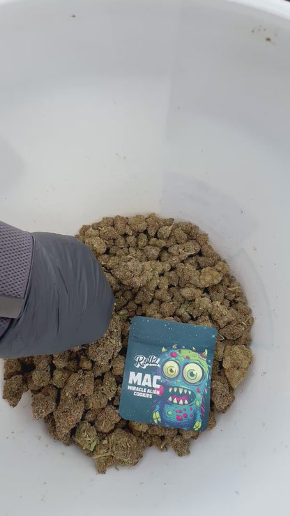 Miracle Alien Cookies(CALI) THC-A Blüten