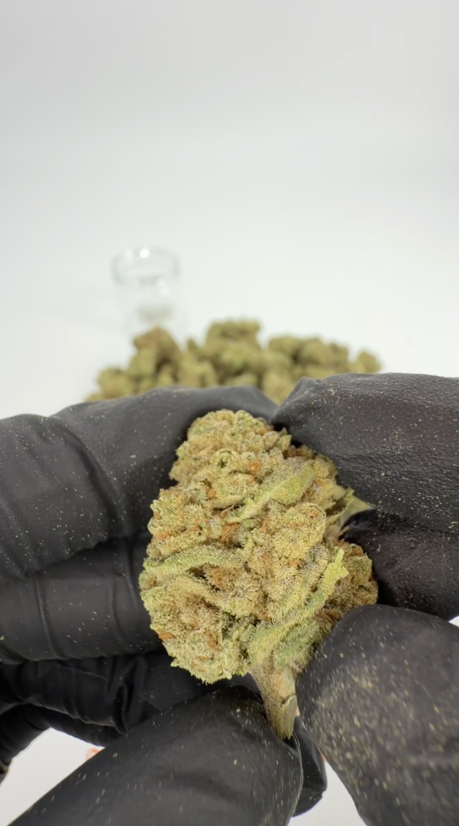 ROLLZ White Truffle THCA Blüten 29% THC-A im 3,5g Glas mit Premium-Bud
