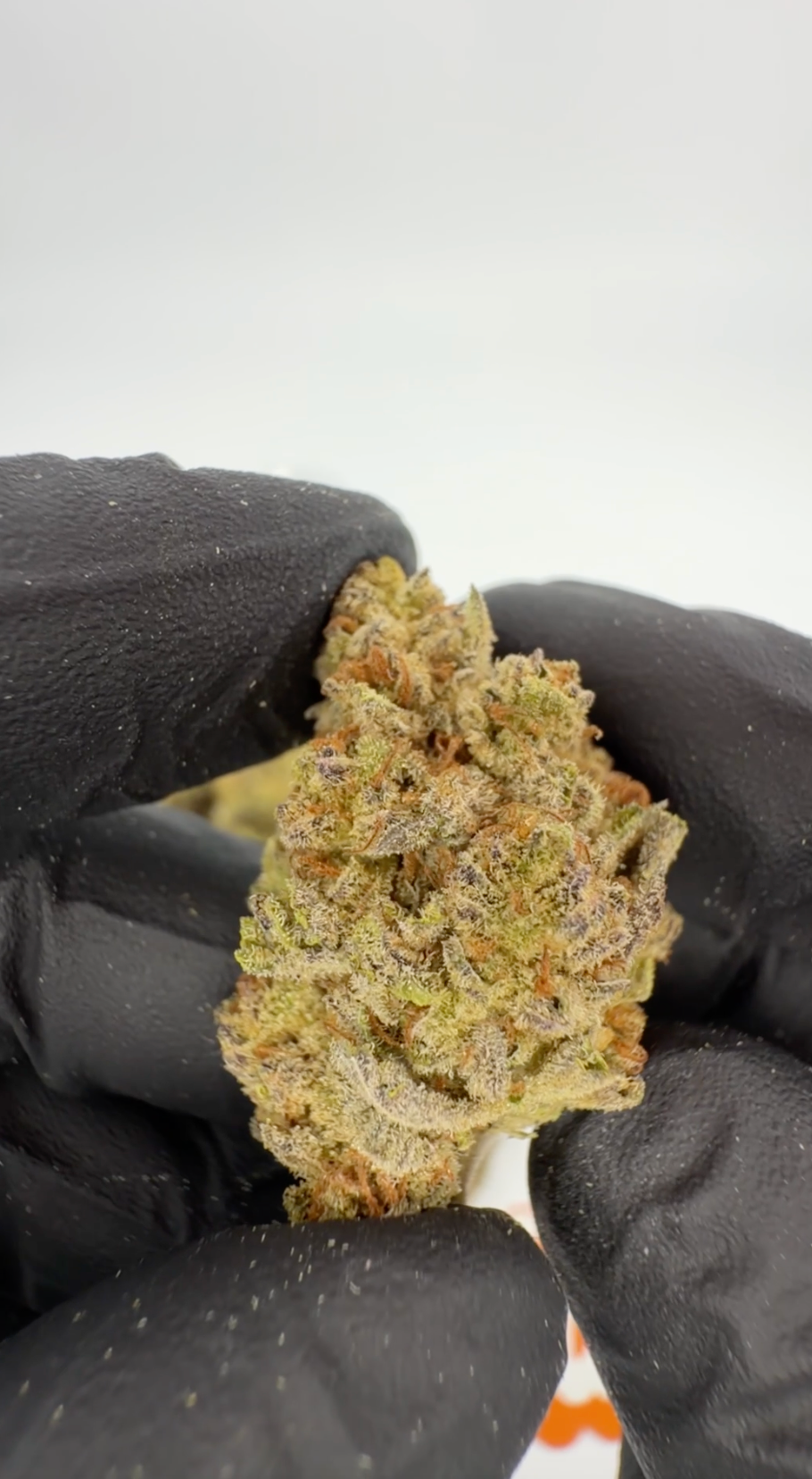 ROLLZ Do-Si-Dos x Gelato THCA Blüten 30% THC-A im 3,5g Produktglas