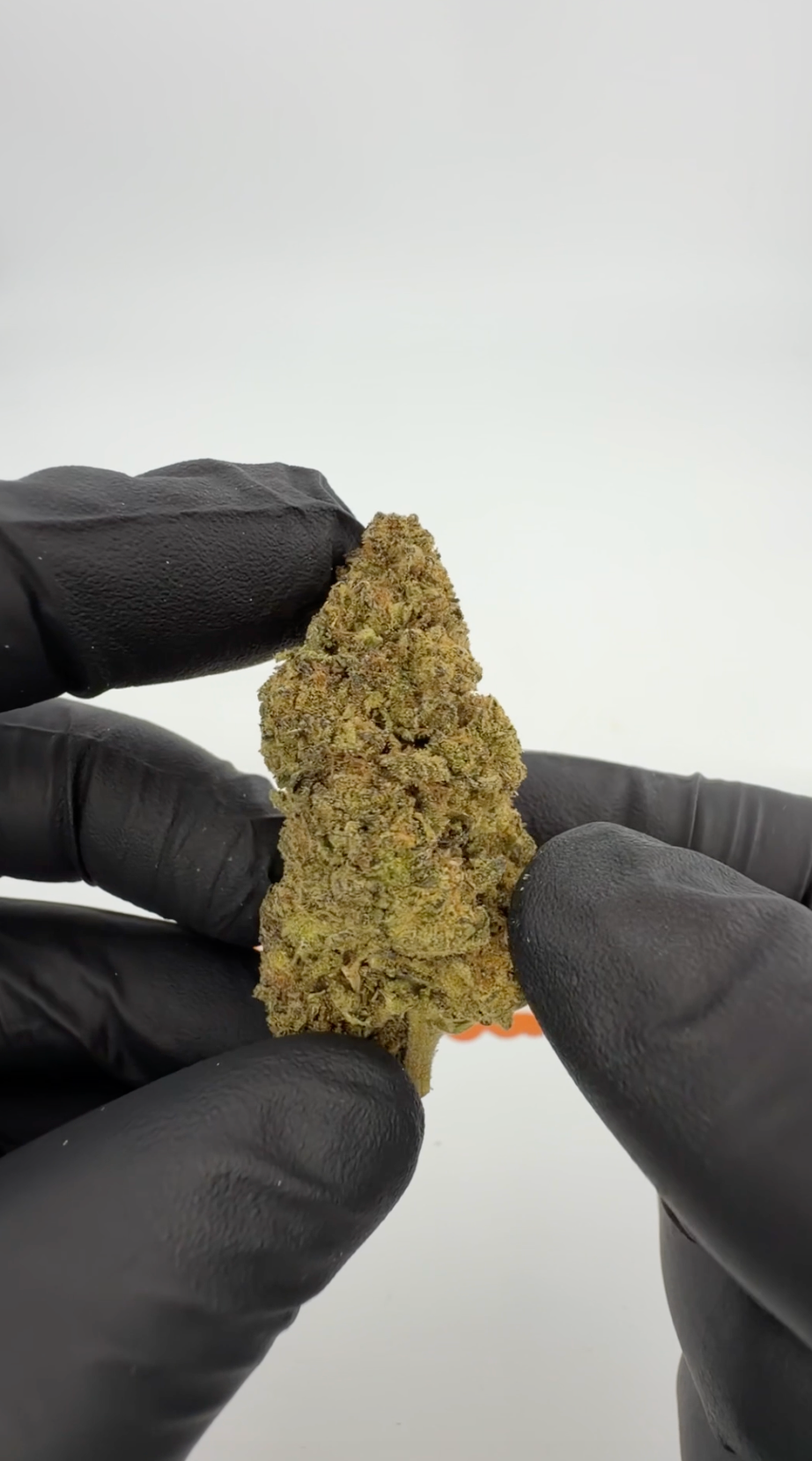 THC-A 34% Blüten Lemonatti