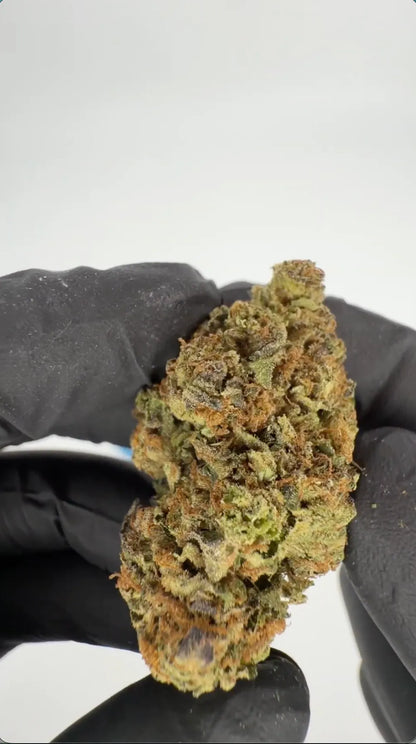 Montgomery Benz THC-A Blüten
