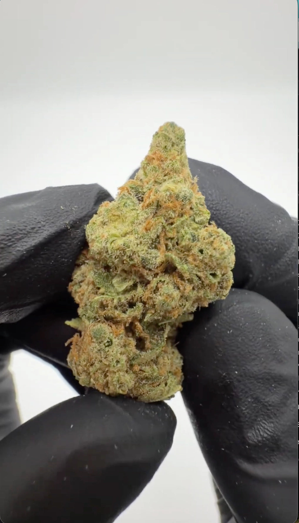 Rollz Amnesia Hydro CBD Indoor-Blüte im orangefarbenen Doypack mit Premium-Buds davor auf weißem Hintergrund
