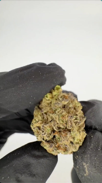 Blueberry Muffin THC-A Blüten