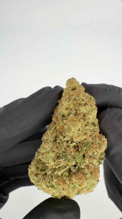 CALI SUPREME THCA 25% Blüten