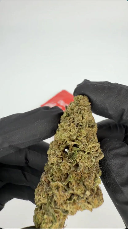 Cartel Cola THC-A çiçekleri 