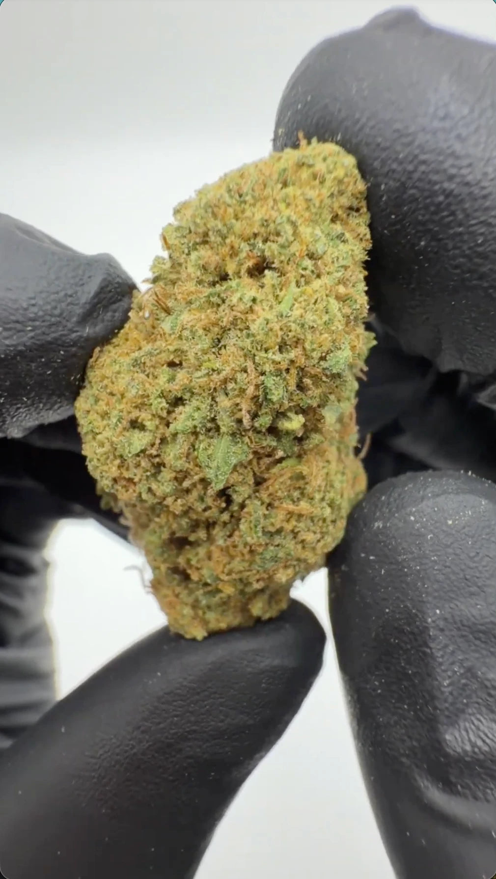 Rollz Gelonade CBD Indoor-Blüte im lila Doypack mit Premium-Buds davor auf weißem Hintergrund