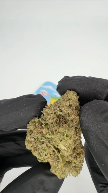 Montgomery Benz THC-A Blüten