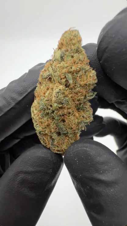 Platinum Jack CBD Blüten ca. 13-16%