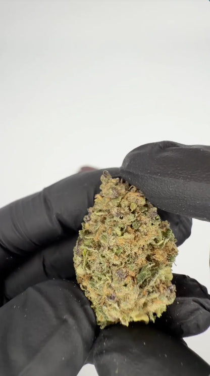 SNIFFERS THCA Blüten