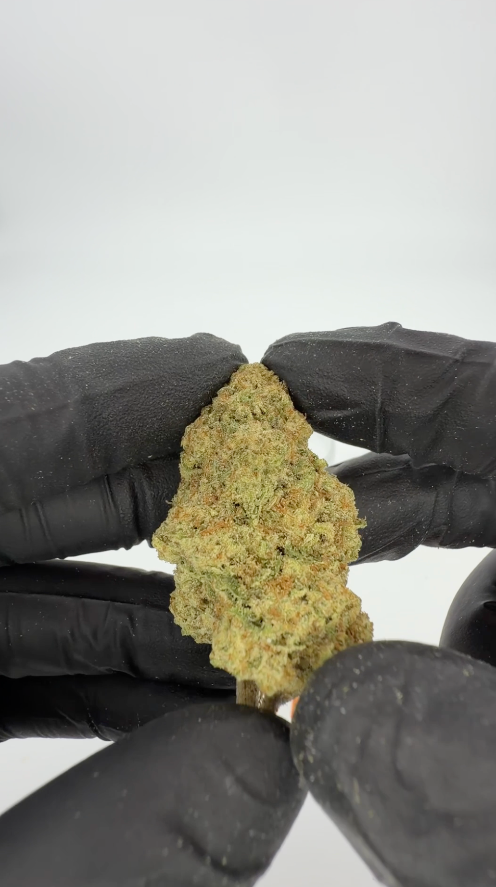 THC-A 30% Blüten Do-Si-Dos x Gelato