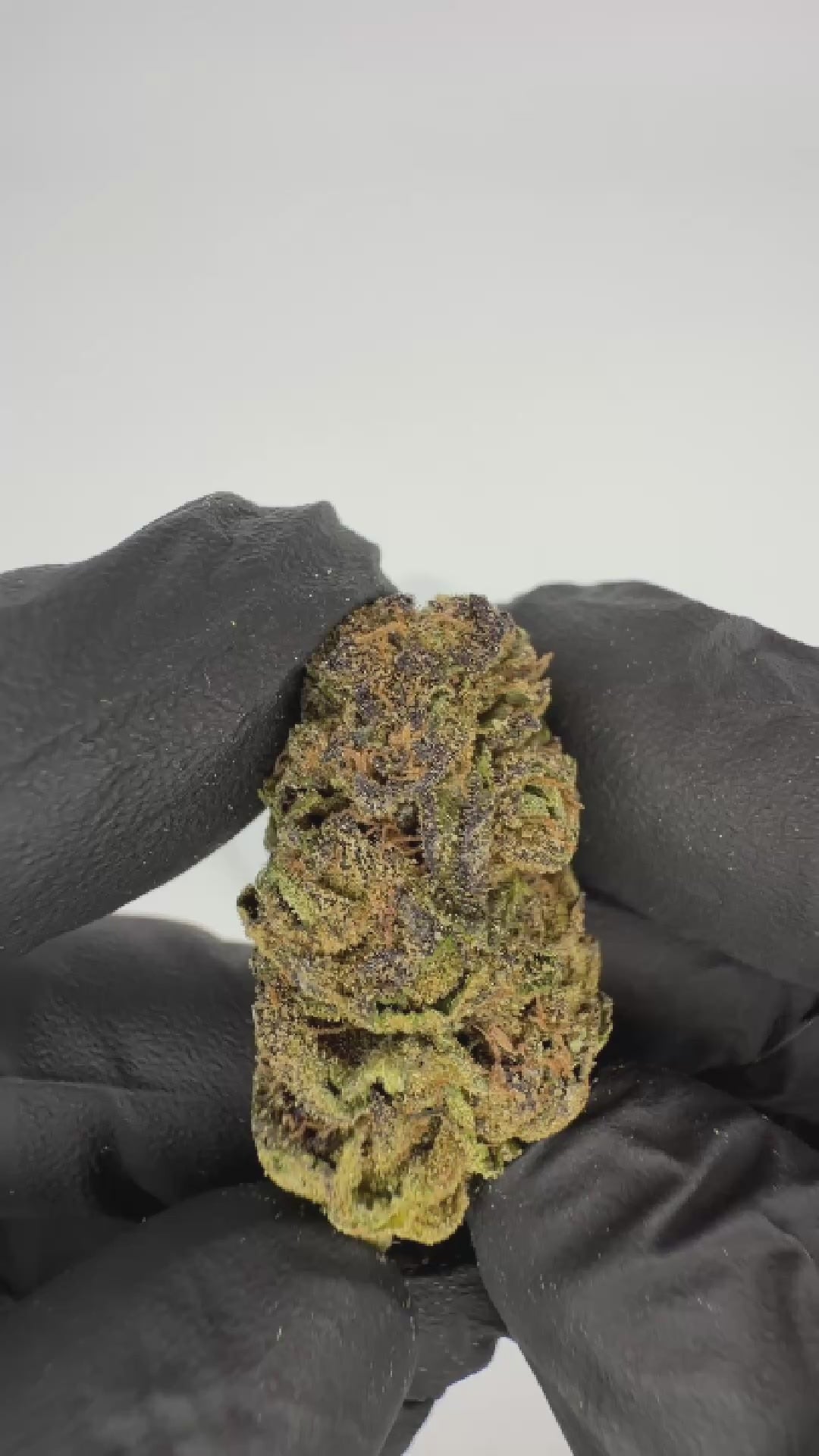 THC-A 25% Blüten Cali Supreme
