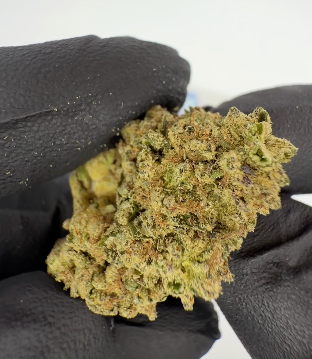 THC-A Blüten Blueberry Muffin