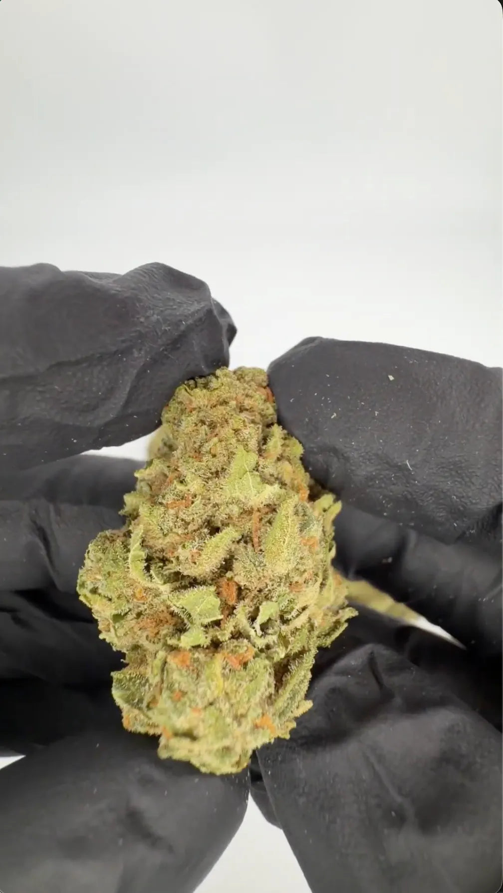 THC-A 28% Blüten Candy Runtz