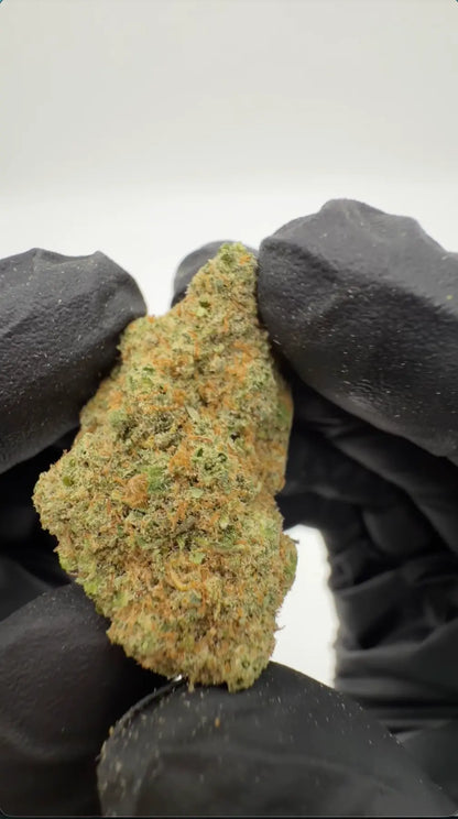 White Russian THC-A flowers 