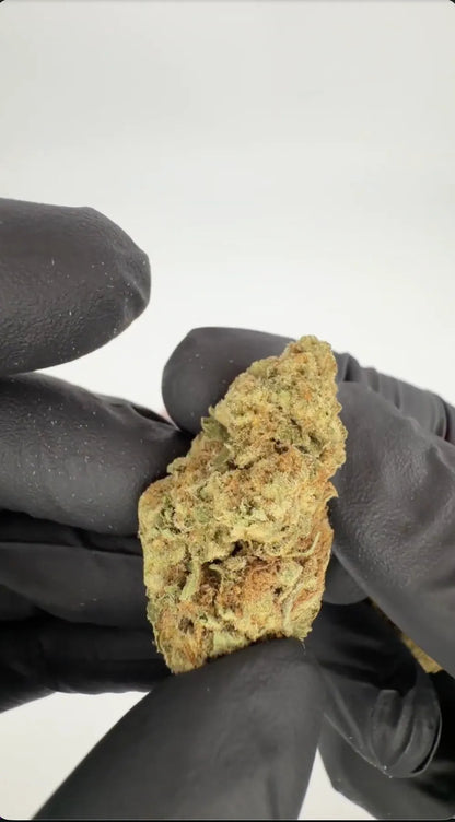 White Russian THC-A Blüten