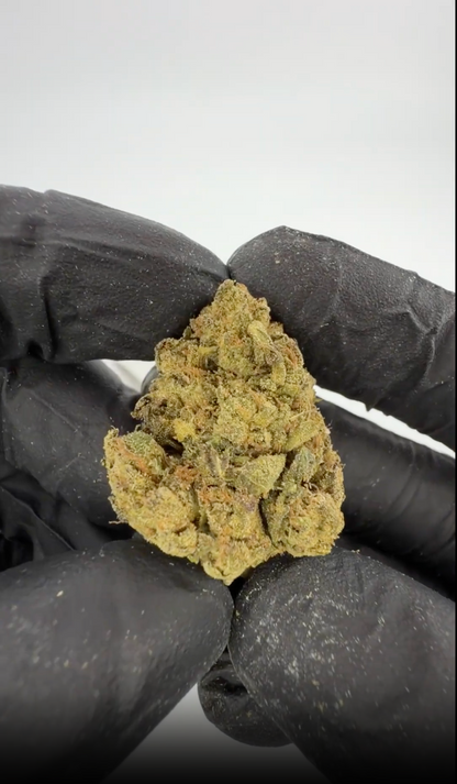 Blueberry Muffin THC-A Blüten