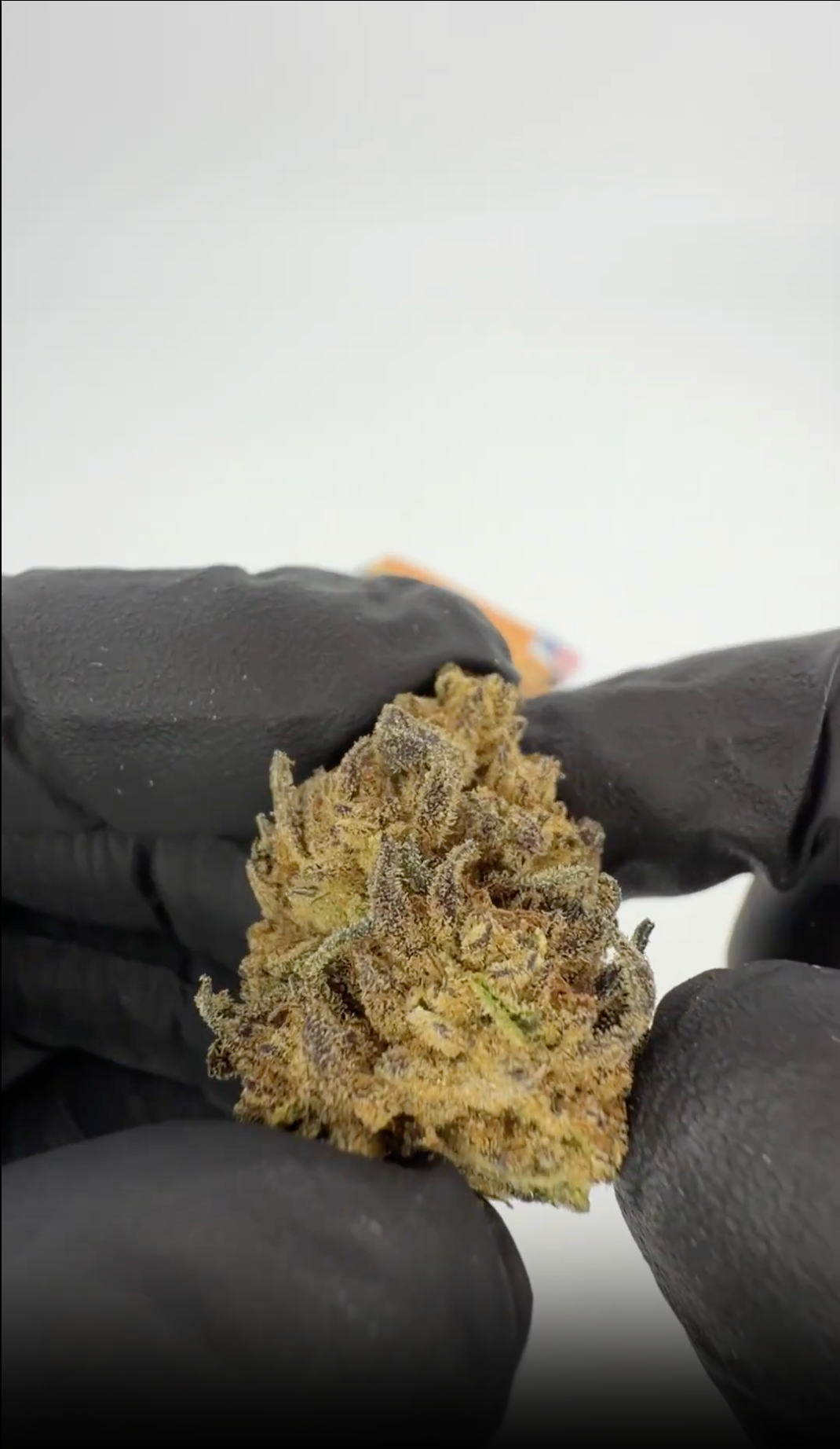 California Love THCA Indoor-Blüten – dichte hellgrüne getrocknete Cannabisblüten auf neutralem Hintergrund; ROLLZ-Eigenproduktion.