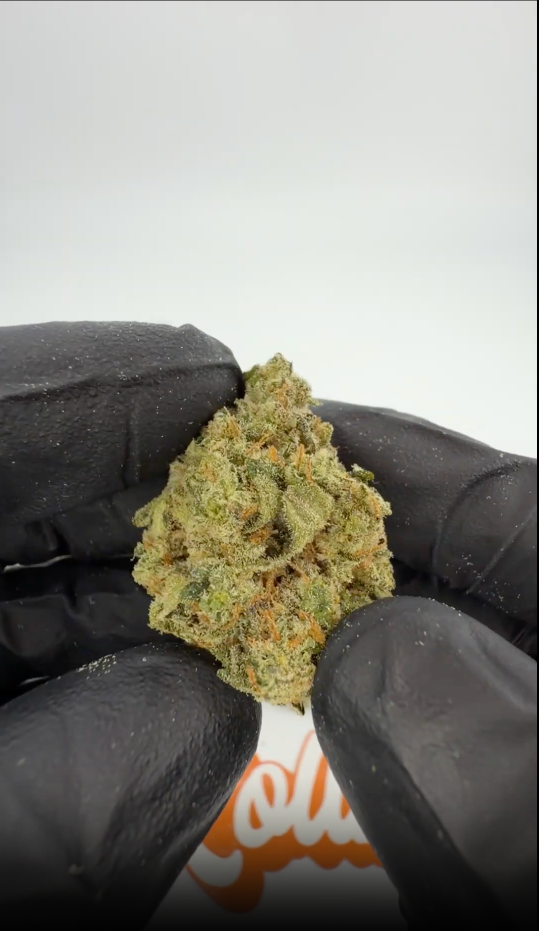 ROLLZ Do-Si-Dos x Gelato THCA Blüten 30% THC-A im 3,5g Produktglas