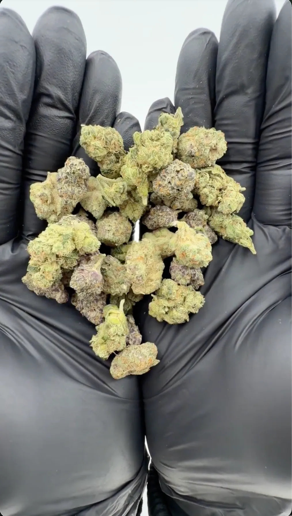Premium Small Buds Mix - bunte Mischung kleiner, frostiger Buds mit grünen und violetten Tönen vor weißem Hintergrund