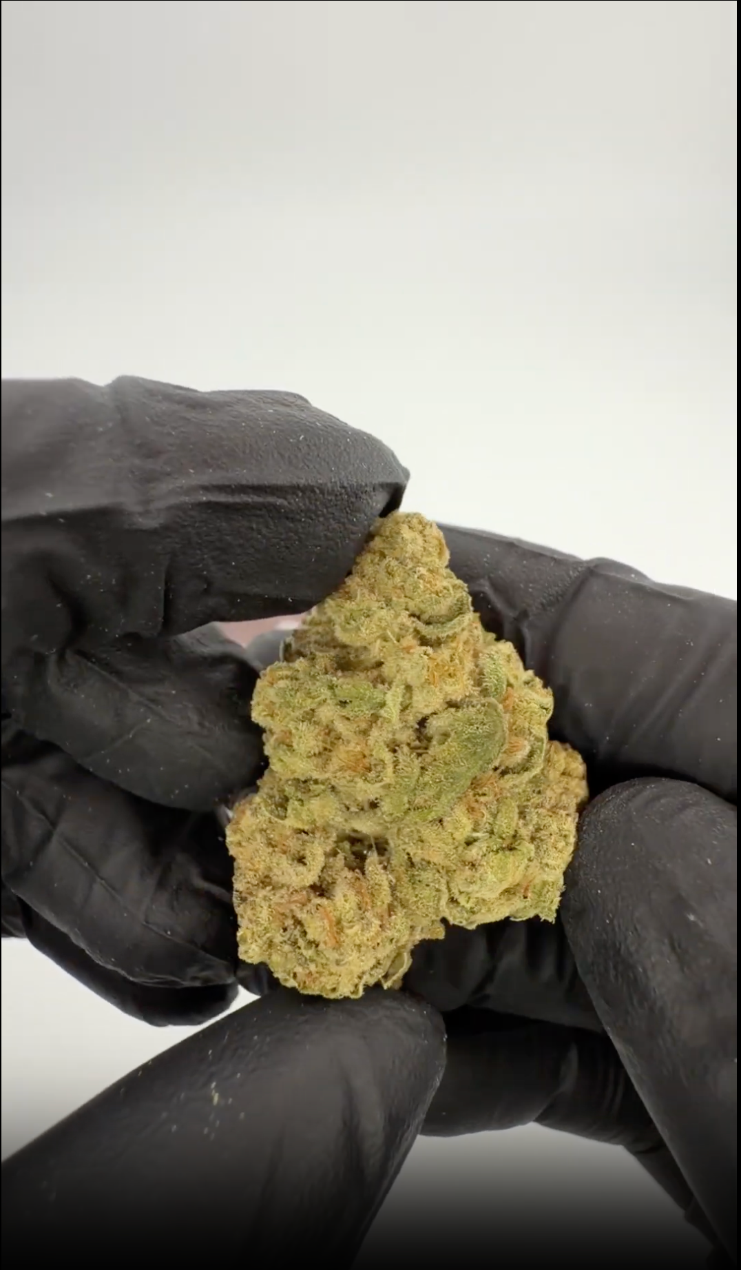 ROLLZ Sniffers THCA Blüten mit braunem Beutel und grünen Premium-Buds