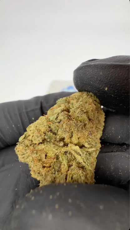 Blueberry Muffin THC-A flowers 
