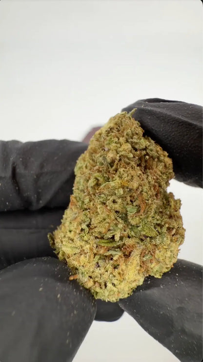 SNIFFERS THCA Blüten