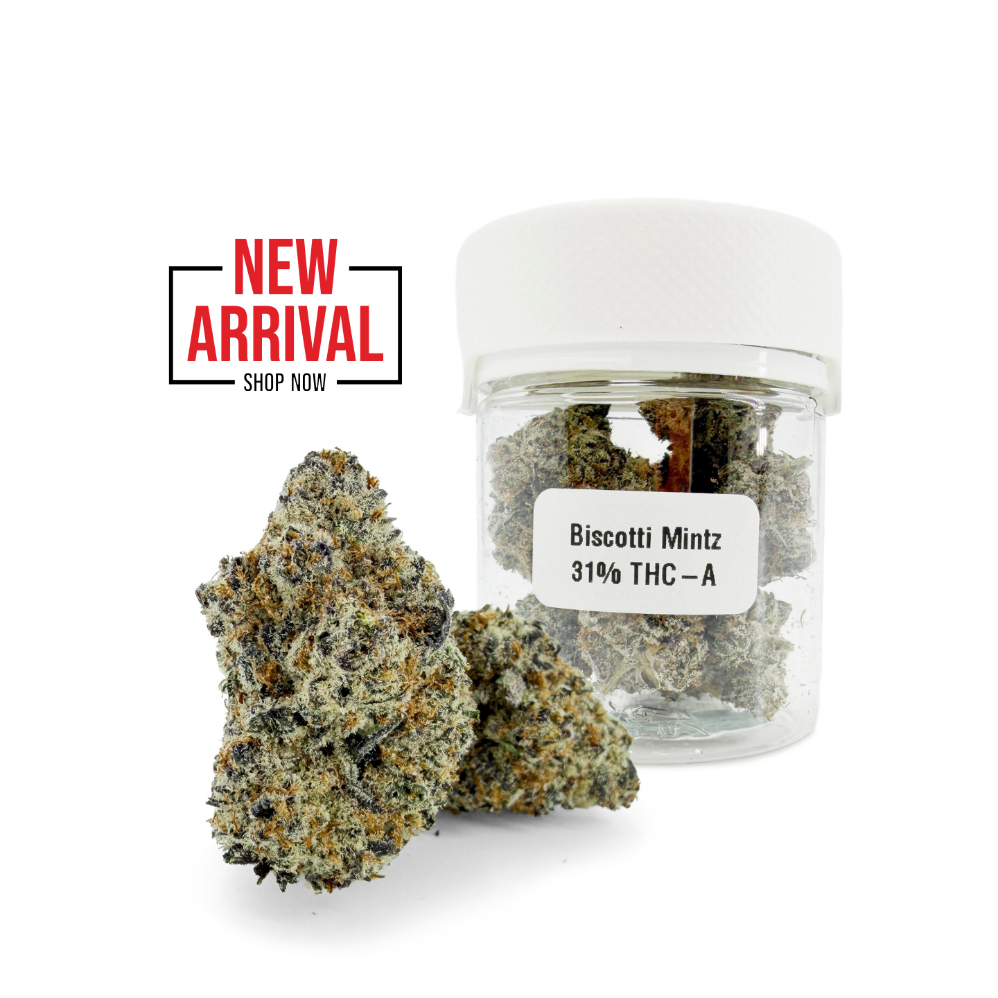 Biscotti Mintz 31% THCA