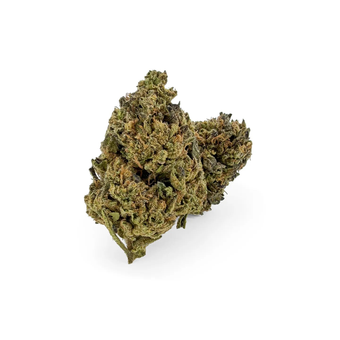 Biscotti Mintz 31% THCA Ultra Top-Shelf Blüten – kompakte, frostige Buds