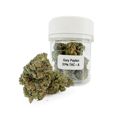 Gary Payton 31% THCA Ultra Top-Shelf Blüten – dichte, frostige Buds mit olivgrünen und silbrigen Tönen im wiederverwendbaren geruchsdichten Glas