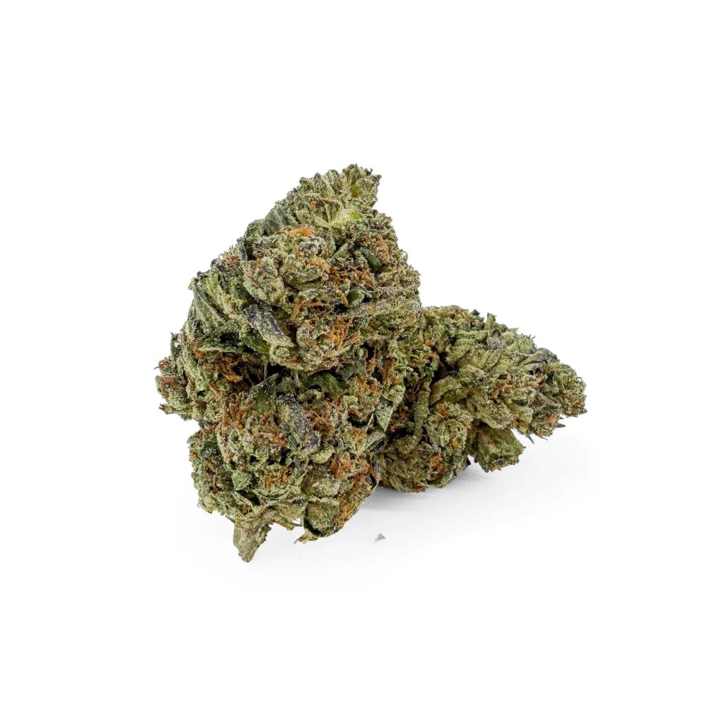Gary Payton 31% THCA Ultra Top-Shelf Blüten – dichte, frostige Buds mit olivgrünen und silbrigen Tönen
