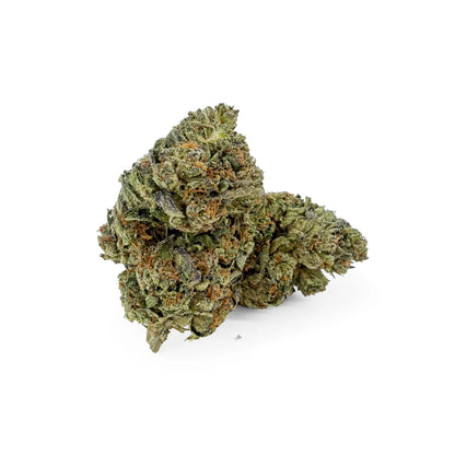 Gary Payton 31% THCA Ultra Top-Shelf Blüten – dichte, frostige Buds mit olivgrünen und silbrigen Tönen