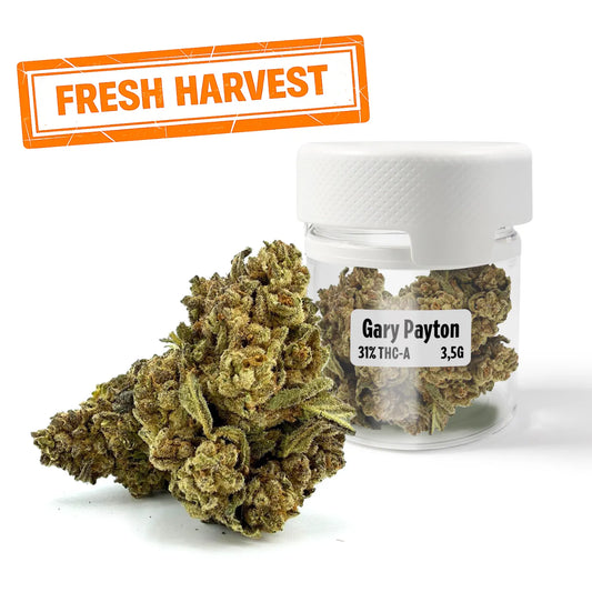 Gary Payton 31% THCA