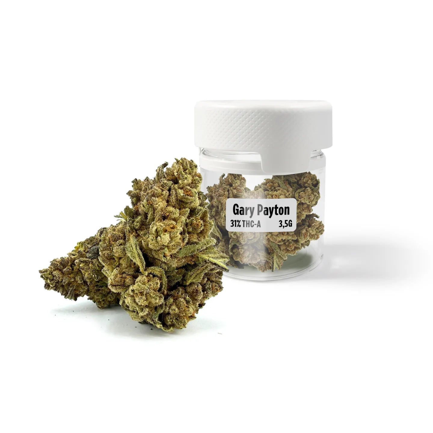 Gary Payton 31% THCA Ultra Top-Shelf Blüten – dichte, frostige Buds mit olivgrünen und silbrigen Tönen im wiederverwendbaren geruchsdichten Glas