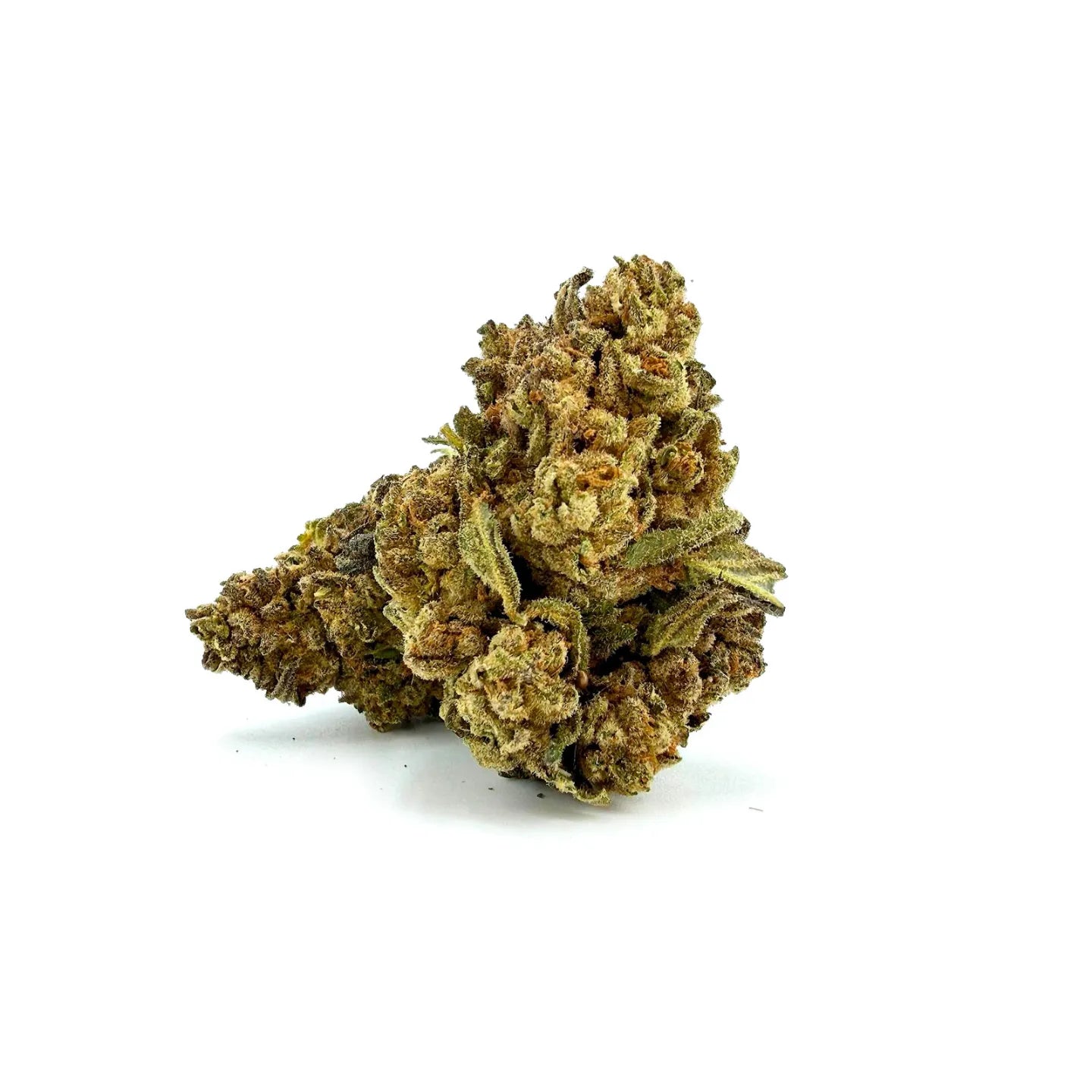 Gary Payton 31% THCA Ultra Top-Shelf Blüten – dichte, frostige Buds mit olivgrünen und silbrigen Tönen