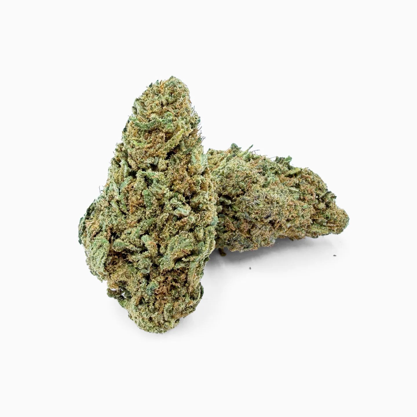 Rollz Gelonade CBD Indoor-Blüte Detailaufnahme - große, frostige Buds mit hellgrüner Struktur vor weißem Hintergrund