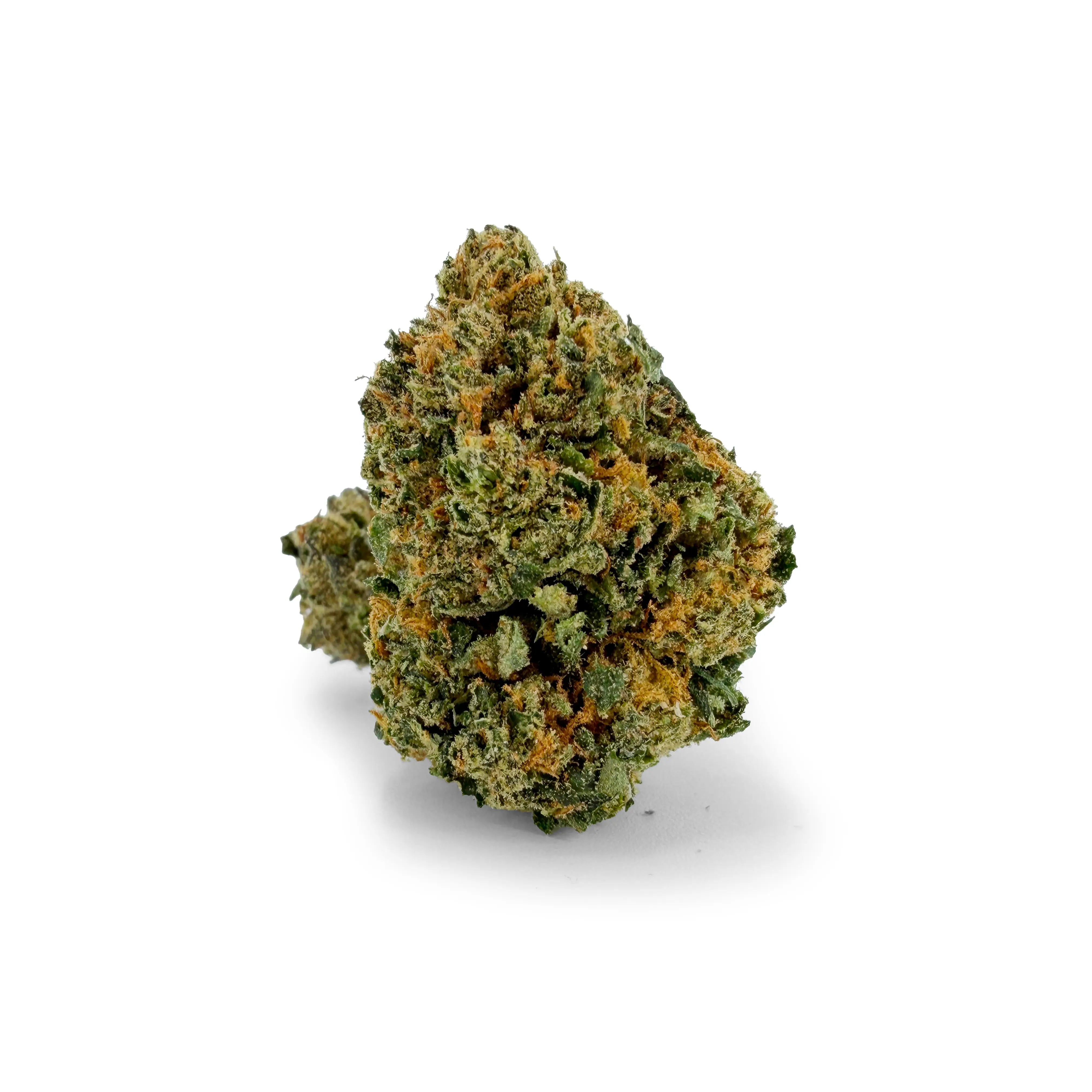 Nahaufnahme der ROLLZ Permanent Marker THCA Blüte mit kompaktem, harzigem Bud