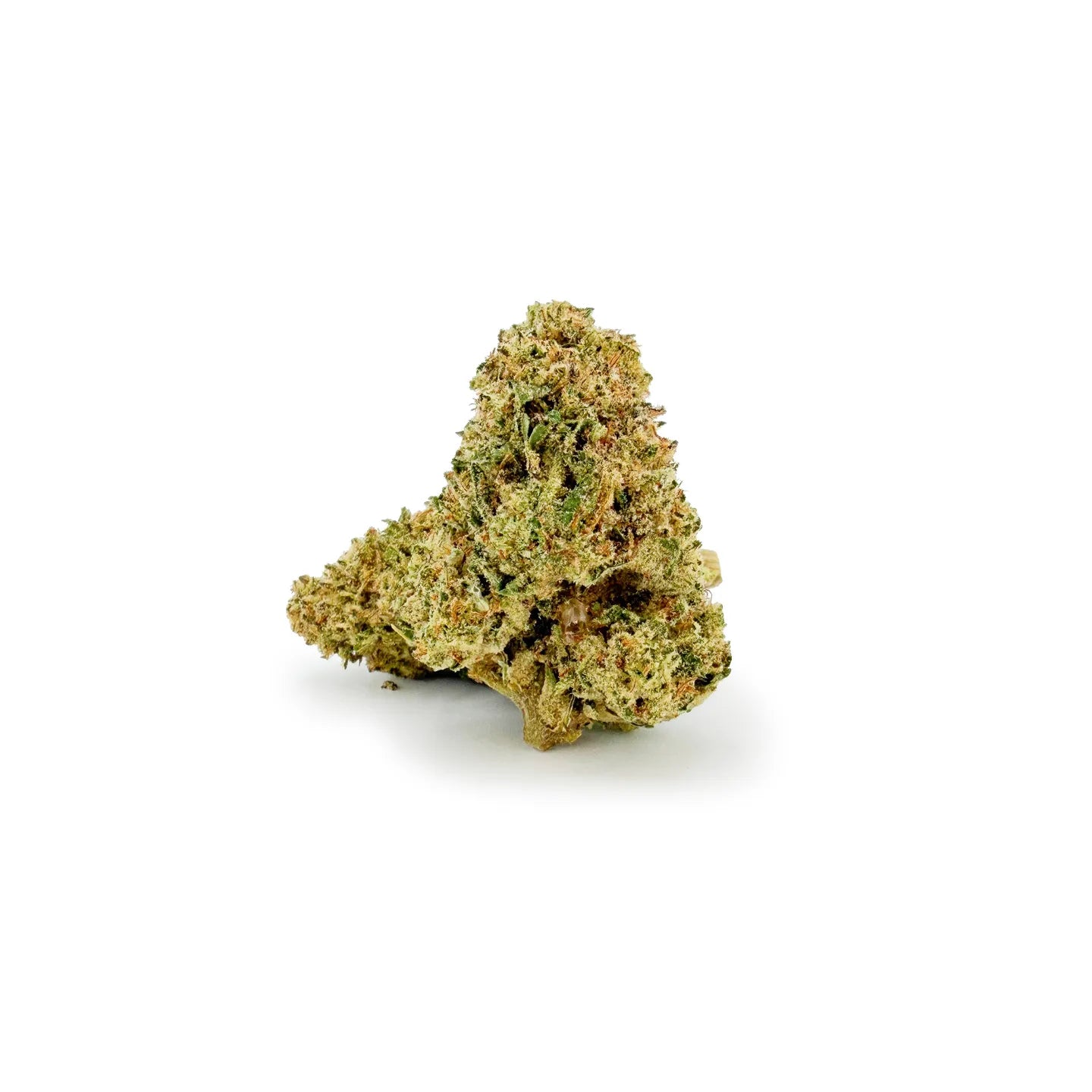 Nahaufnahme der ROLLZ Do-Si-Dos x Gelato THCA Blüte mit harziger Struktur
