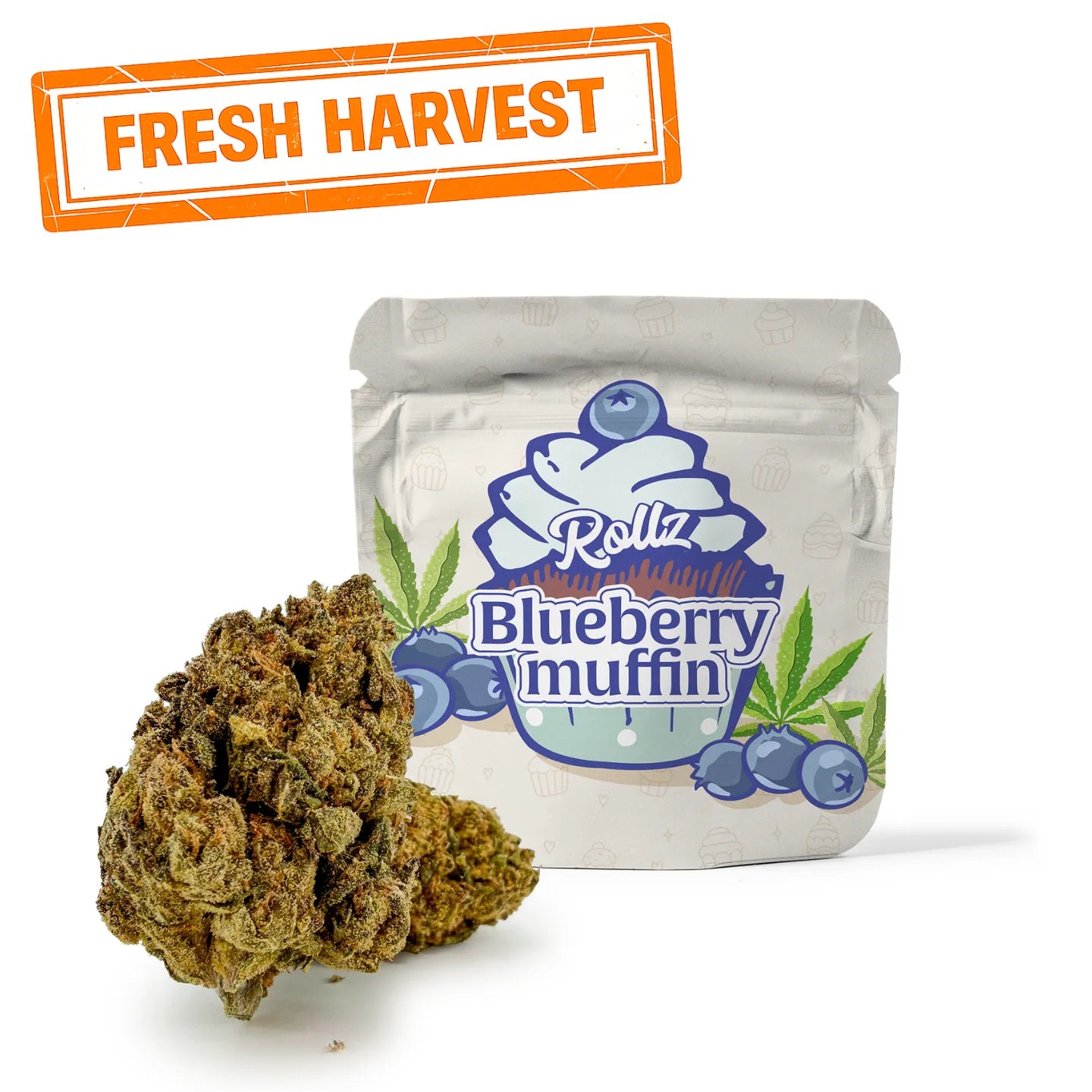 Blueberry Muffin THC-A Blüten
