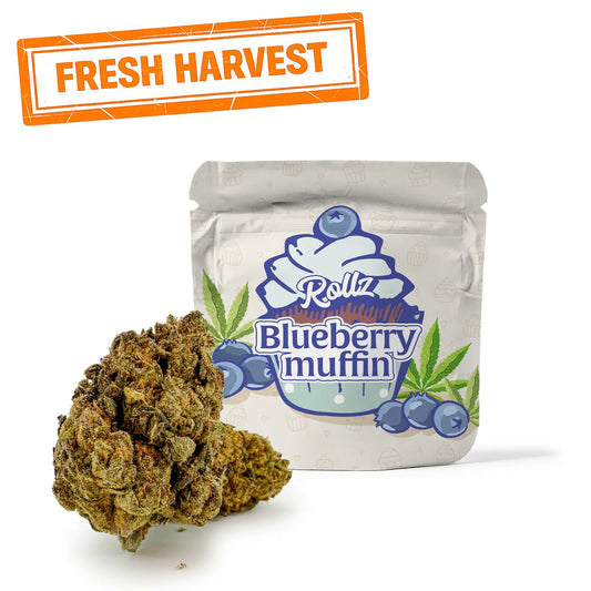 Blueberry Muffin THC-A Blüten