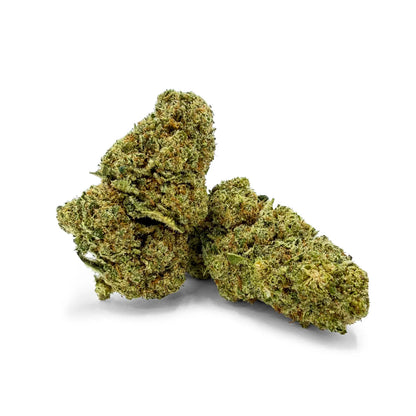 Nahaufnahme von Rollz California Love Indoor THCA getrockneten Blütenknospen Liberty Haze auf weißem Hintergrund