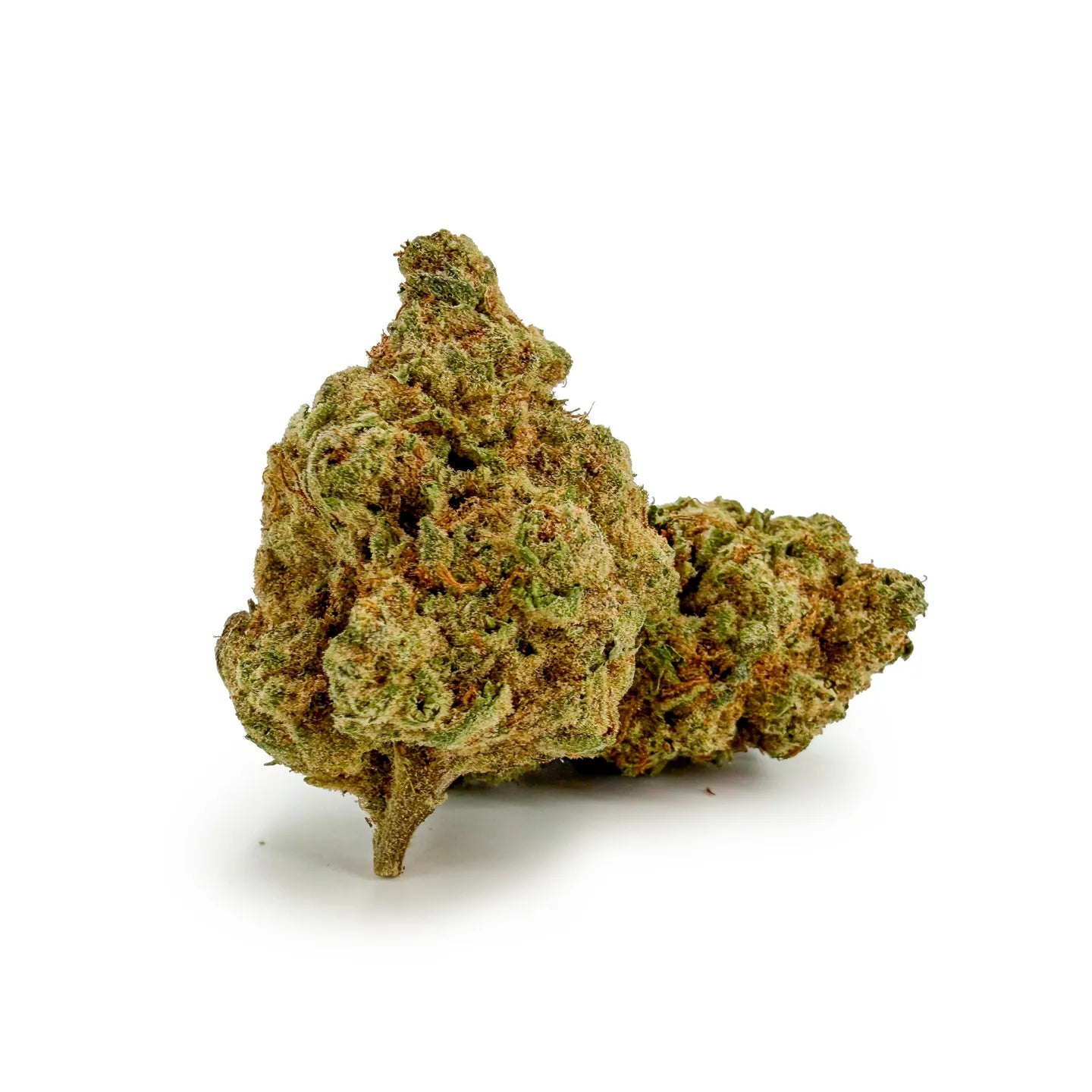 Detailaufnahme der ROLLZ Cartel-Cola THCA Blüte mit harziger Struktur und orangefarbenen Härchen