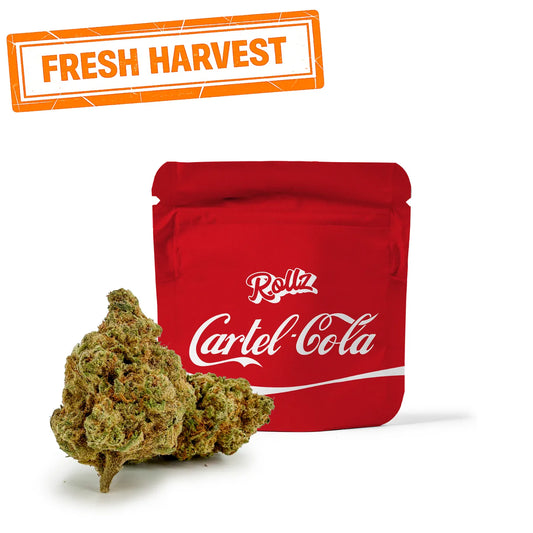 Cartel Cola THC-A Blüten