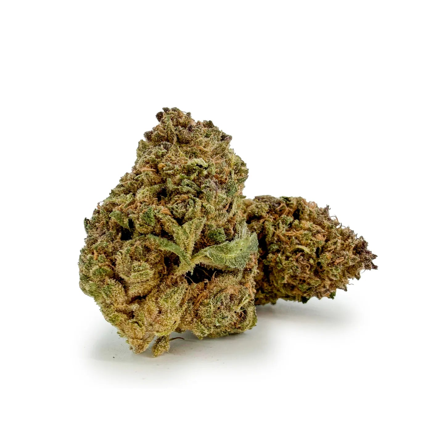 Nahaufnahme von Rollz Miracle Alien Cookies frostigen Cannabis auf weißem Hintergrund.