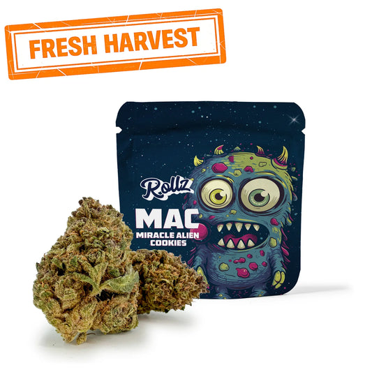 Miracle Alien Cookies(CALI) THC-A Blüten